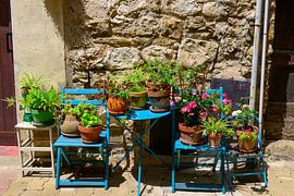 Straßenszene im Dorf Castellar in der Provence in Frankreich von Sjoerd van der Wal Fotografie