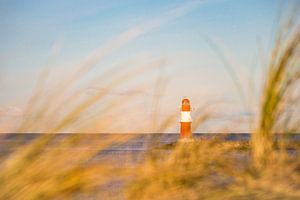 Blick auf die Mole in Warnemünde