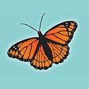 Oranje vlinder van Bianca Wisseloo thumbnail