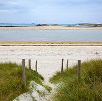 Dunes with sea views.
