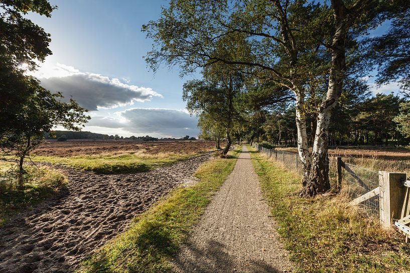 Hoorneboegse heide, Heidegebied bij Hilversum, fietspad van Martin Stevens