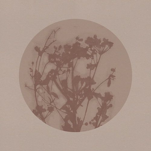 Japandi botanisch in neutraal beige en bruin. Delicate bloemen.