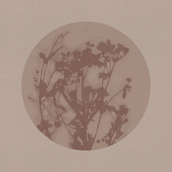 Japandi botanical in neutral beige and brown. Delicate flowers. by Dina Dankers