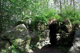 Verlassene Brücke im Wald von Floortje Mink