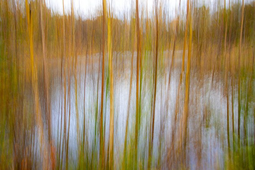 In nature by SO fotografie
