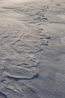 Schnee Details, Naturfoto, Norwegen