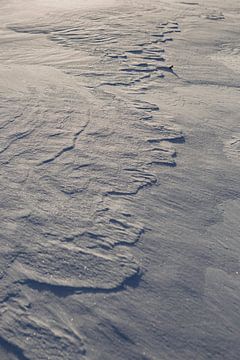 sneeuwdetails, natuurfoto, noorwegen van Marije Baan