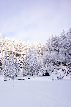 Langlaufen in het besneeuwde Thüringer Woud bij Floh-Seligenthal - Thüringen - Duitsland van Oliver Hlavaty