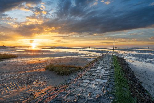 Hemelsblauw en zonnegoud