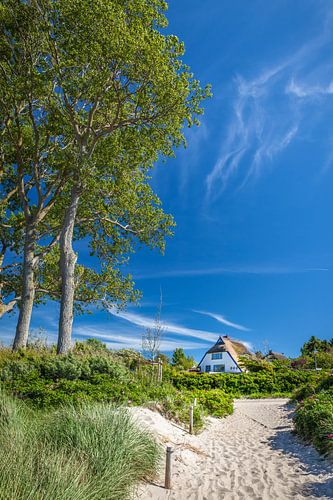 Strandingang in Ahrenshoop aan de Oostzee