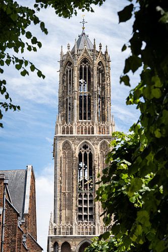Dom en vert sur Max ter Burg Fotografie