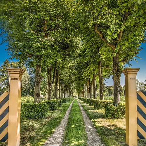 De oprijlaan van Dekemastate in het dorpje Jelsum in  Friesland
