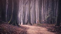 Speulderbos