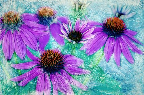 Le CLan des Cinq - 03d7