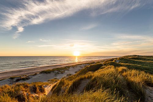 Abends in den Dünen an der Nordsee