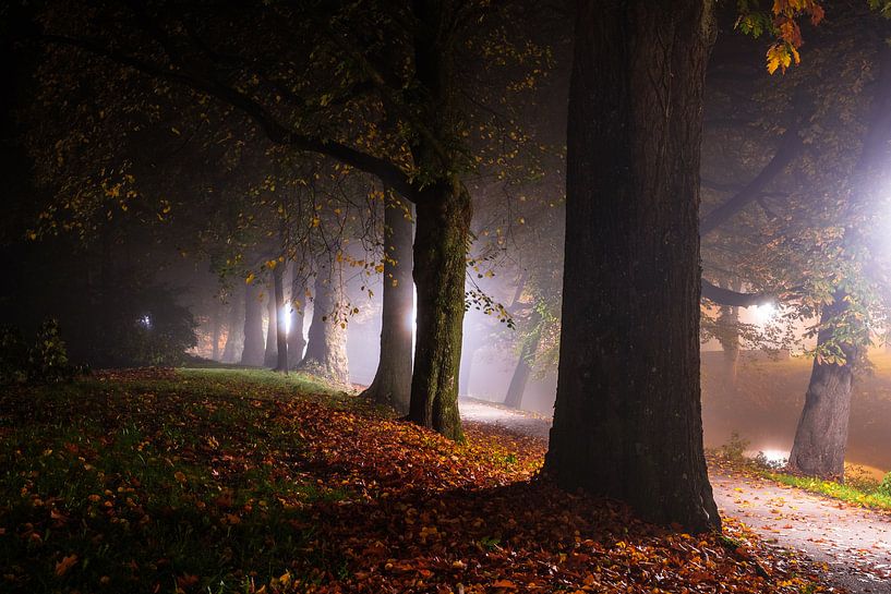 Einbruch der Dunkelheit von Tvurk Photography