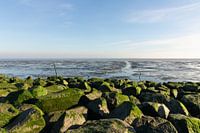 Uitzicht op het wad