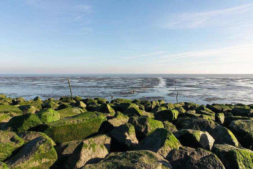 Uitzicht op het wad by Jeroen van Dijk