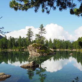 Die Engadiner Berge zeigen eine harmonische Mischung aus alpiner Weite, kristallklaren Seen und sanften Lärchenwäldern. Die Landschaft wirkt lichtdurchflutet, ruhig und zugleich majestätisch – ein Naturparadies im Herzen der Schweiz. von Miriam Schwarzfischer Fotografie