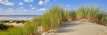 Noordzee met strand en de duinen