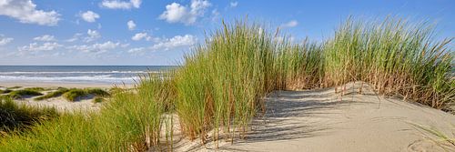 Noordzee met strand en de duinen