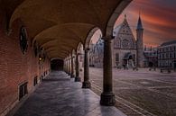 Abendaufnahme des Ridderzaal und der Regierungsgebäude am Binnenhof in Den Haag von gaps photography Miniaturansicht