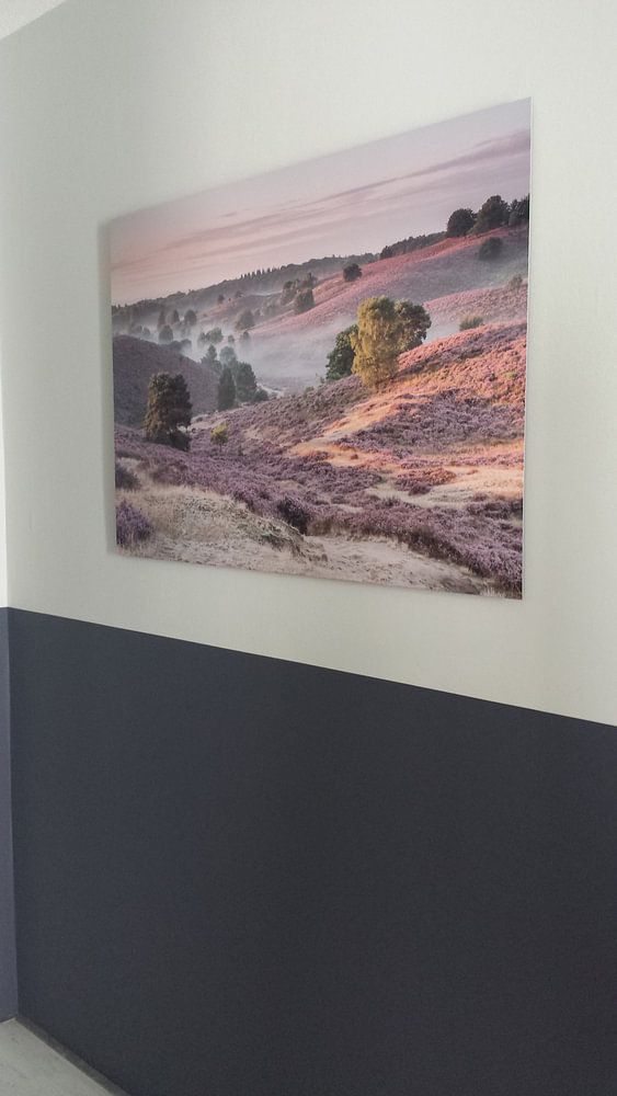 Nebel und blühende Heide im Tal der Posbank  von Sander Grefte 