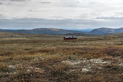 Norvège | Une hytte isolée dans le parc national de Rondane