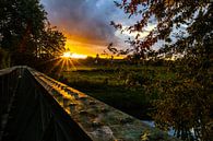 Zonsondergang van Joel Layaa-Laulhé thumbnail