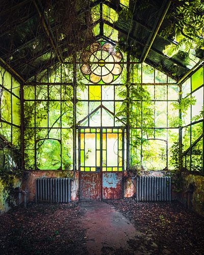 Un conservatoire abandonné dans la forêt.