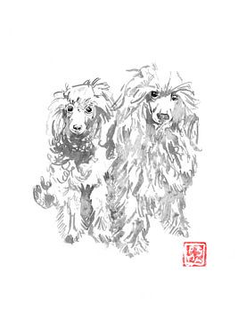 zwei Hunde von Péchane Sumie