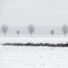 Niederländische Winterlandschaft #4 von Mark Bolijn