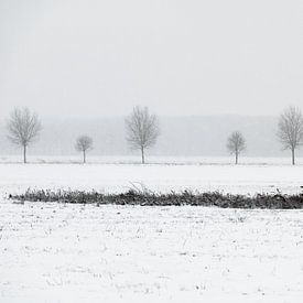 Paysage d'hiver hollandais #4 sur Mark Bolijn