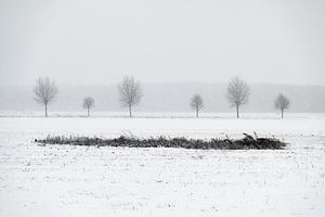 Niederländische Winterlandschaft #4