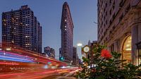 New York  Flatiron Building par Kurt Krause Aperçu