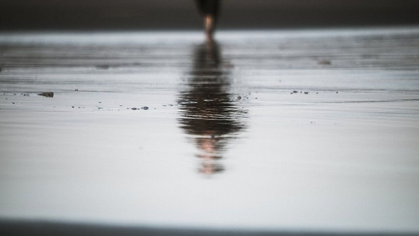 Reflectie op het strand van Alex Hamstra