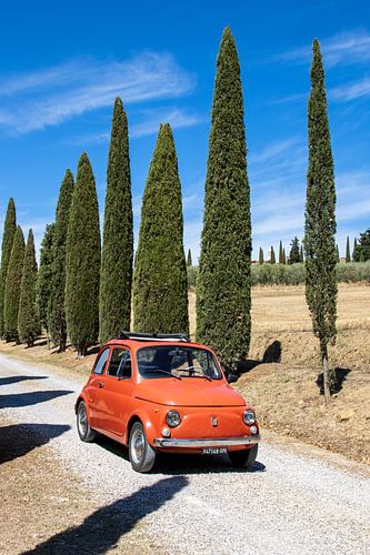 Fiat in cipressenlaan