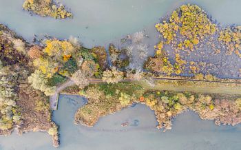 Luchtfoto Nationaal Park De Biesbosch