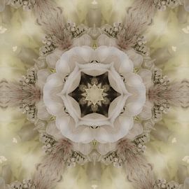 Dévouement sur Herzblüte