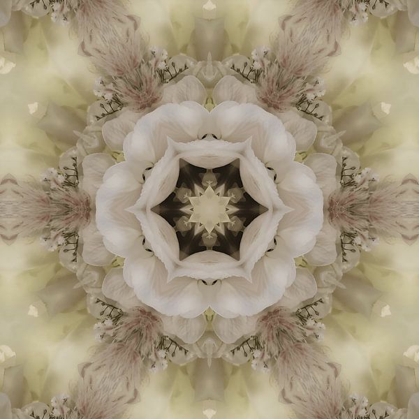 Dedication by Herzblüte