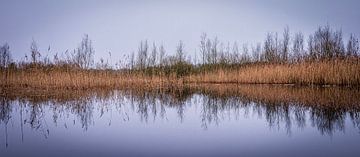 De reflectie van de mooie natuur in de winter. van Robby's fotografie