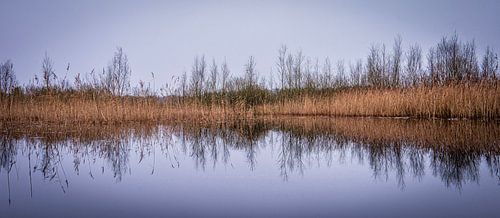 De reflectie van de mooie natuur in de winter.
