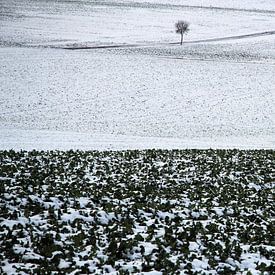 Baum mit Feld und Wanderer in Winterlandschaft von Martin Flechsig