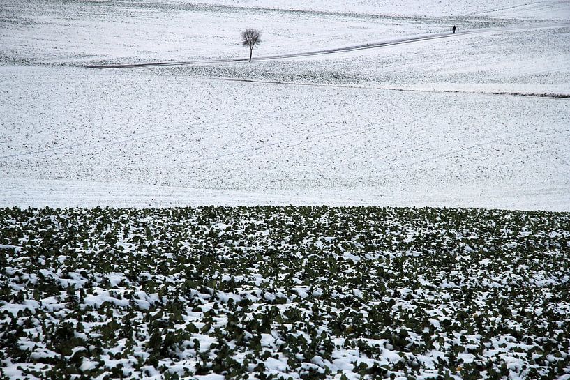 Baum mit Feld und Wanderer in Winterlandschaft von Martin Flechsig