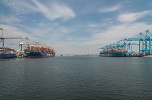 Zwei große Containerschiffe im Hafen von Rotterdam