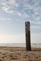 Dutch View IV 