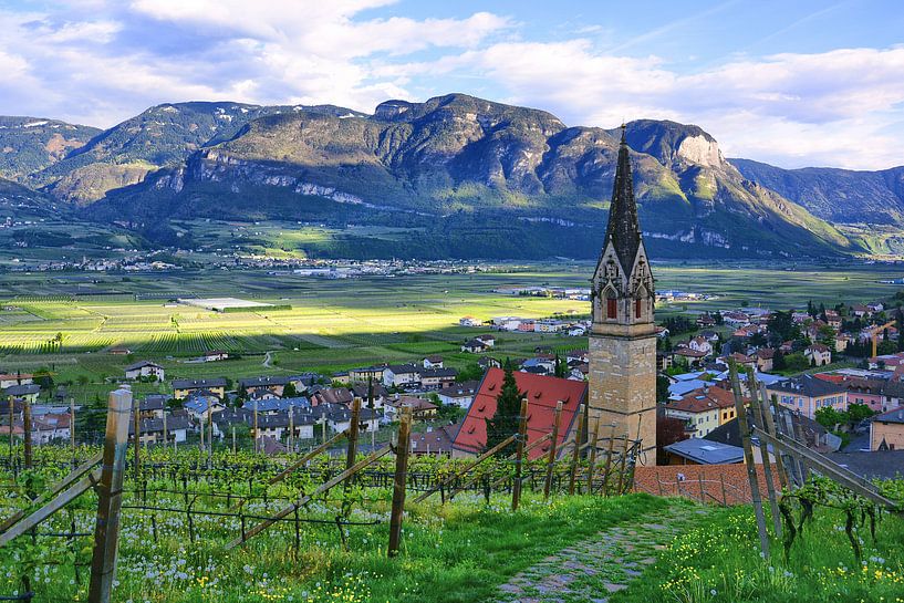 Tramin an der Weinstraße im Frühling van Gisela Scheffbuch