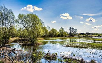 Ooijpolder Nijmegen Nederland