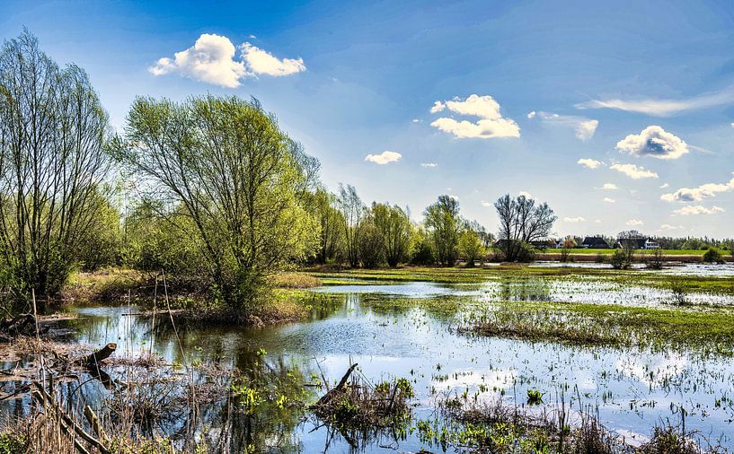 Ooijpolder Nijmegen Pays-Bas par Dirk Keijser