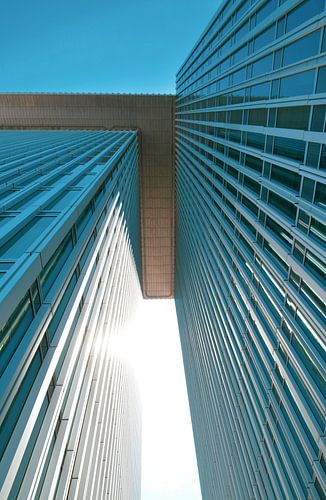 From below ............ Rotterdam